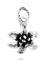Charm Giovanni Raspini in Argento 12716
